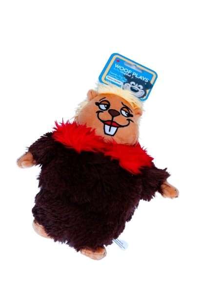 Woof Plays - Sassy Squirrel