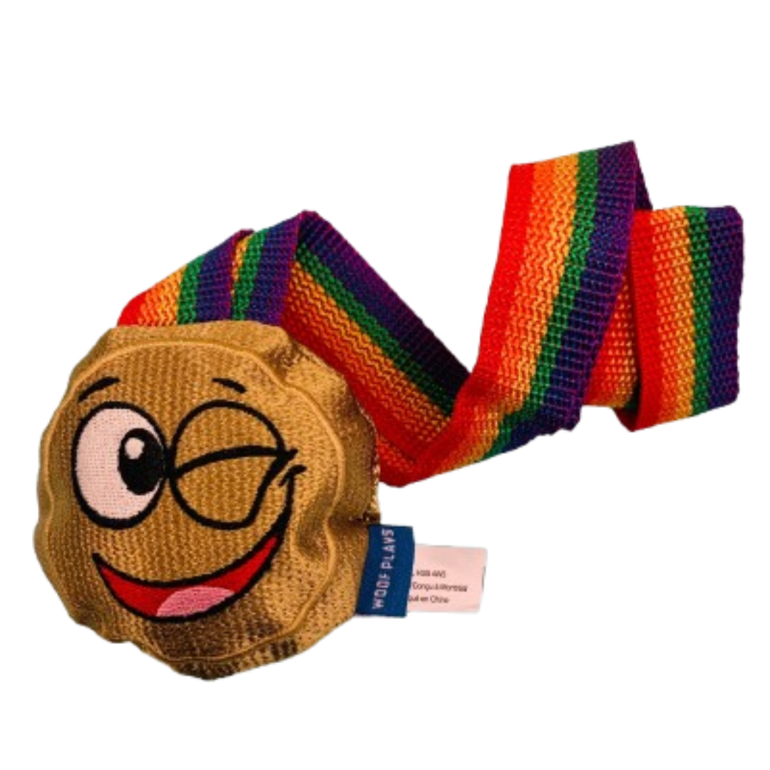 Woof Plays - Retrieve the Golden