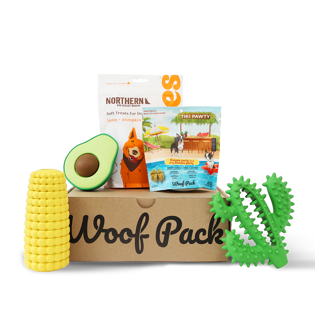 Woof Pack Dog Toys & Treats Box