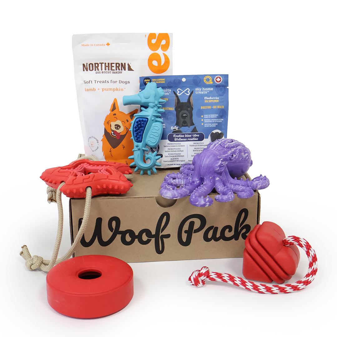 Woof Pack Dog Toys & Treats Box