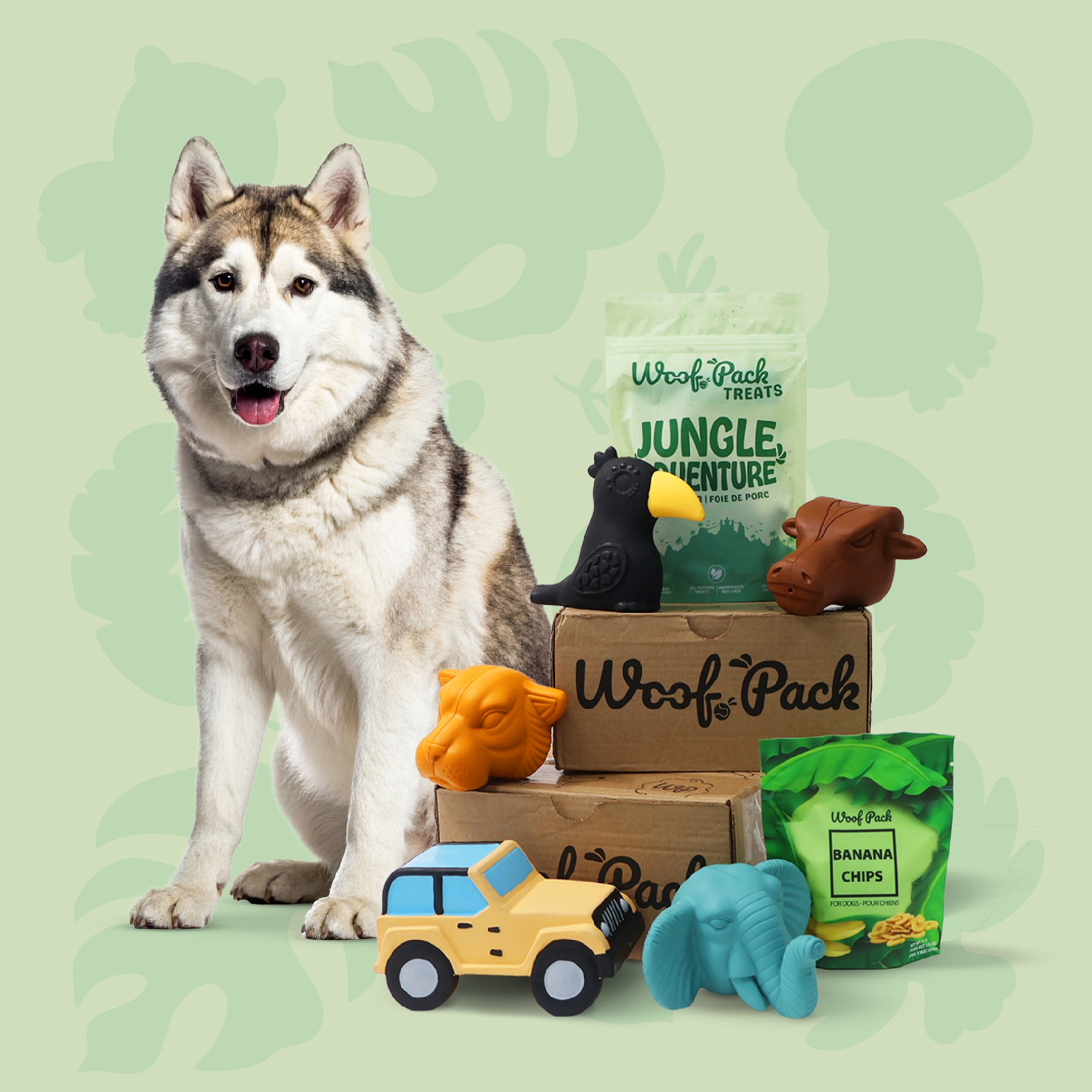 Woof Pack Boîte Essai