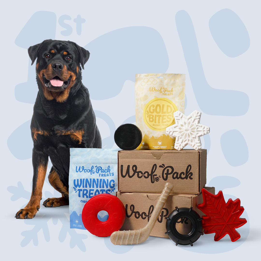 Boîte d'essai Woof Pack