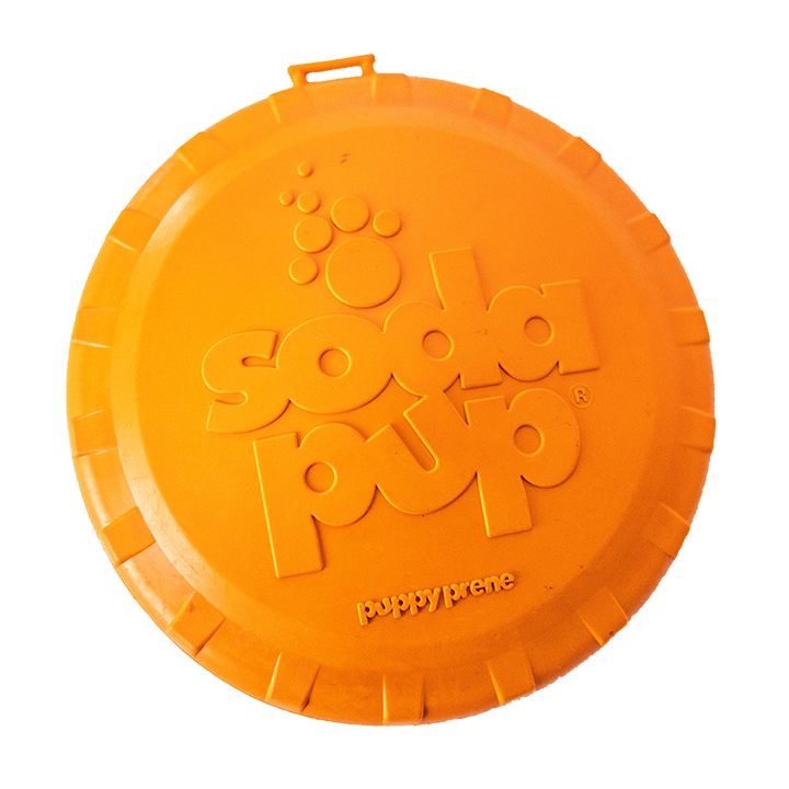 Additional Durable Toy 6 Months