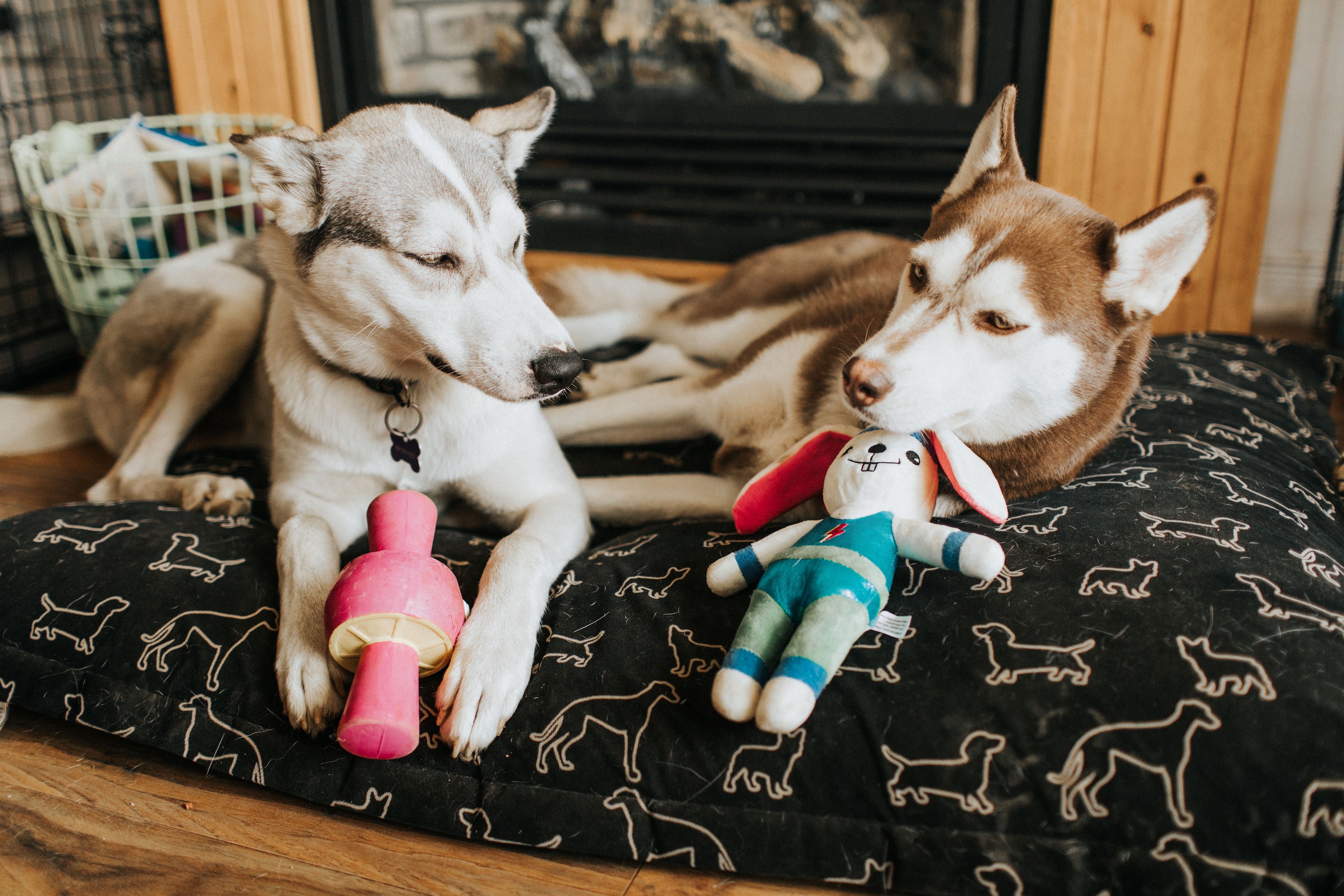 Additional Toy 6 Month Gift