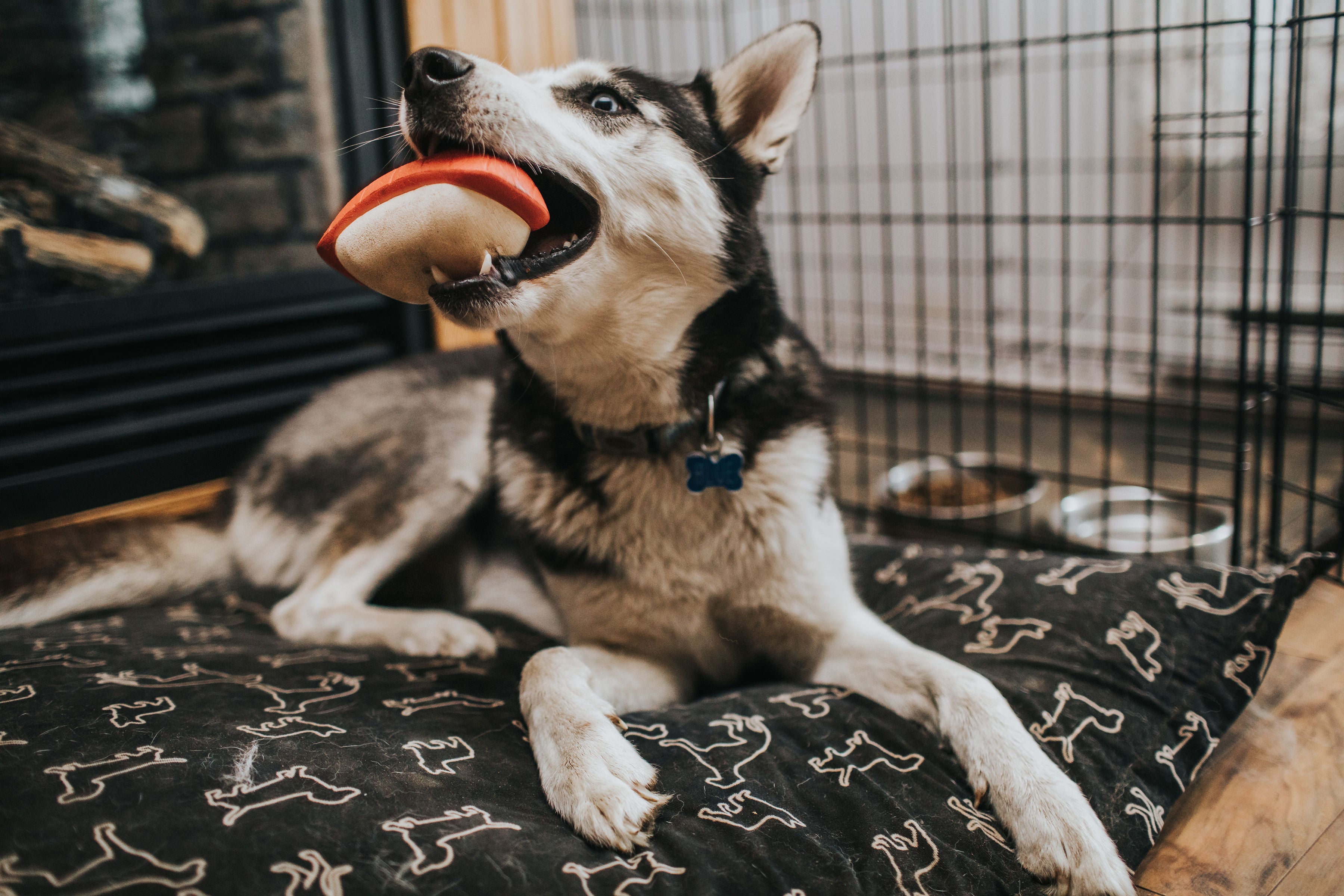 Additional Durable Toy 6 Months