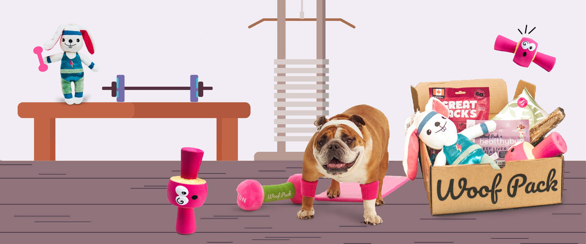 Let's Get Woofical