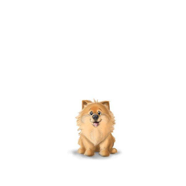 Small (0-20lbs)