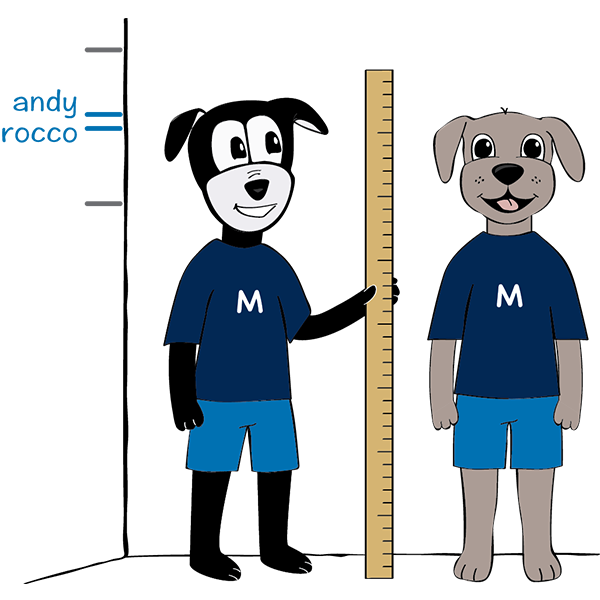 Medium (20-50lbs)