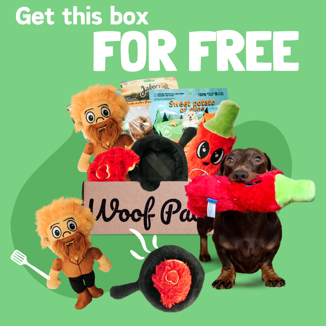 Free BBQ Box