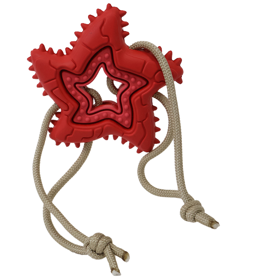 Woof Plays - Étoile de mer avec ficelle