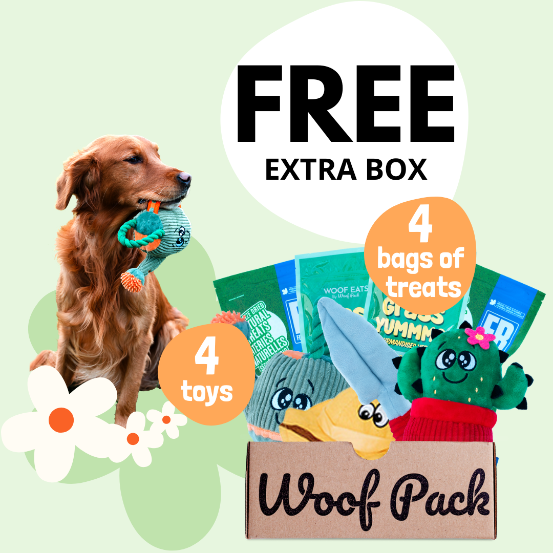 Woof Pack: A monthly box of dog goodies delivered to your door