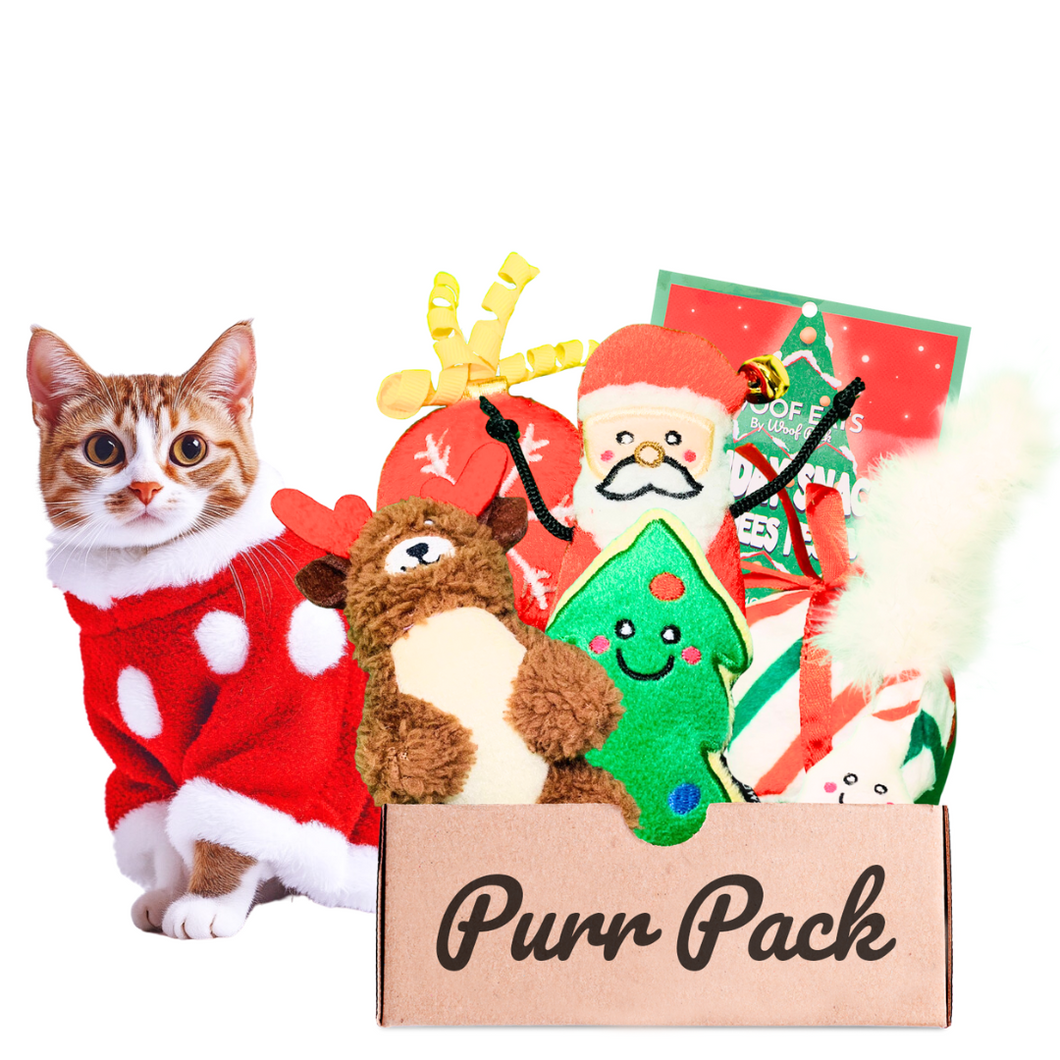 Holiday Edition Cat Box