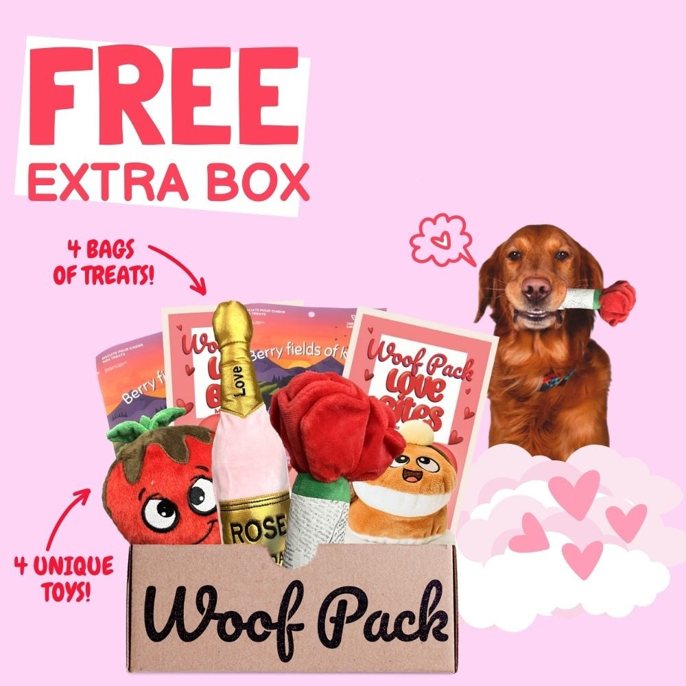 Monthly dog treats sale