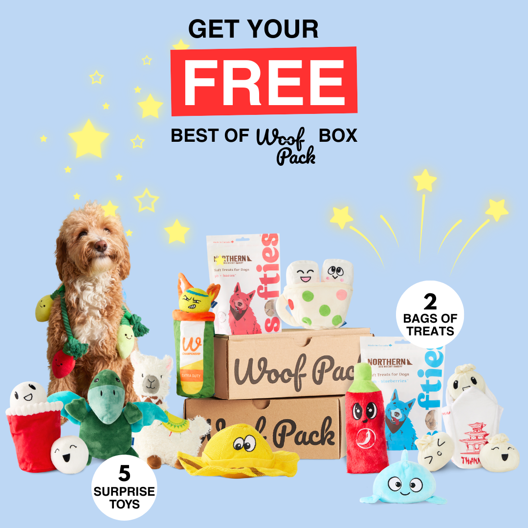 Woof Pack A monthly box of dog goodies delivered to your door