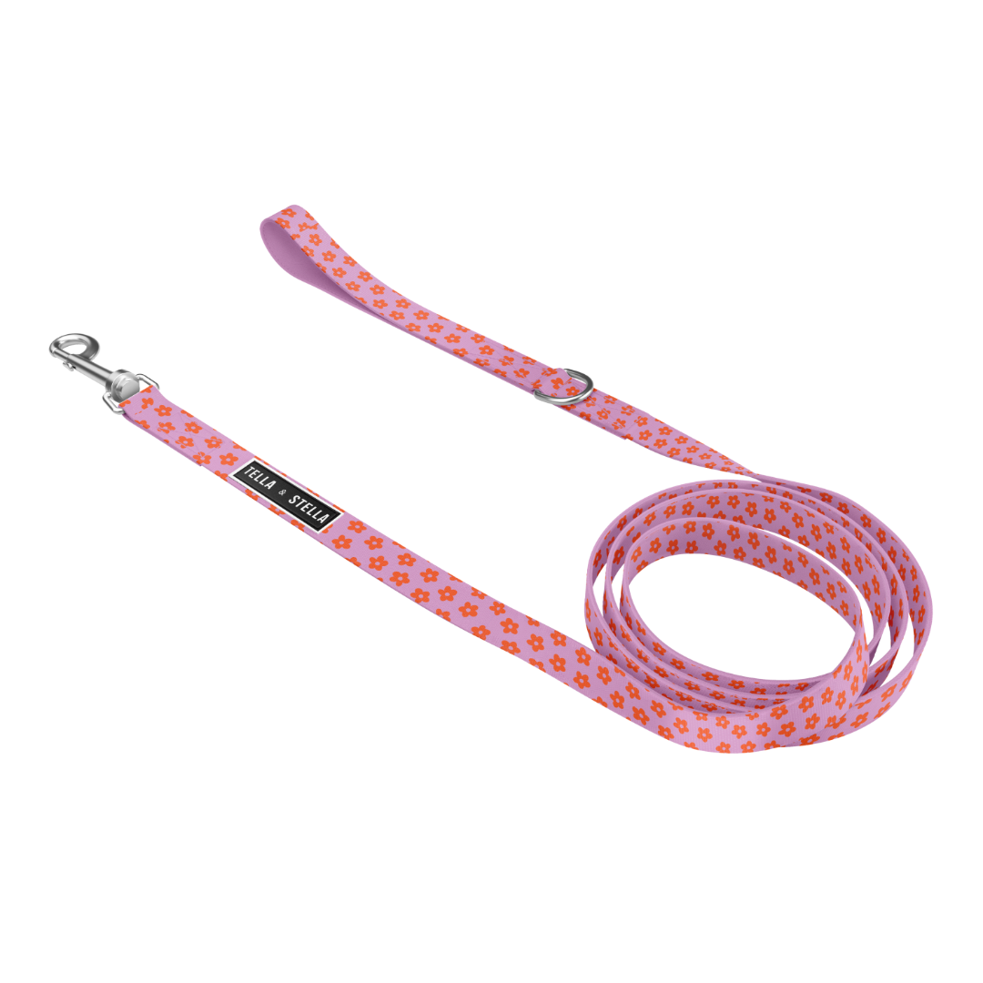 Tella & Stella Leash - Charlotte