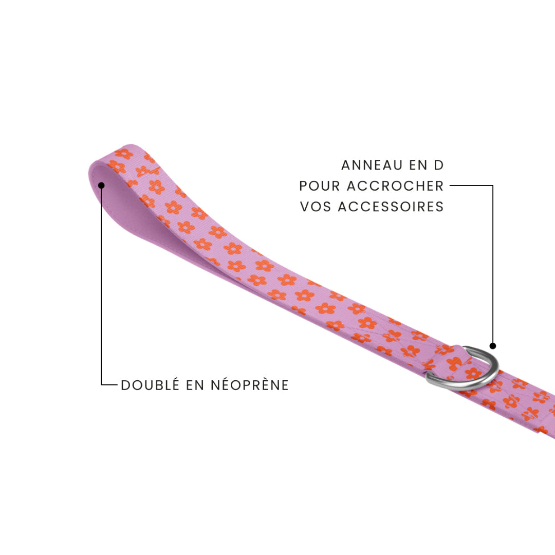 Tella & Stella Leash - Charlotte