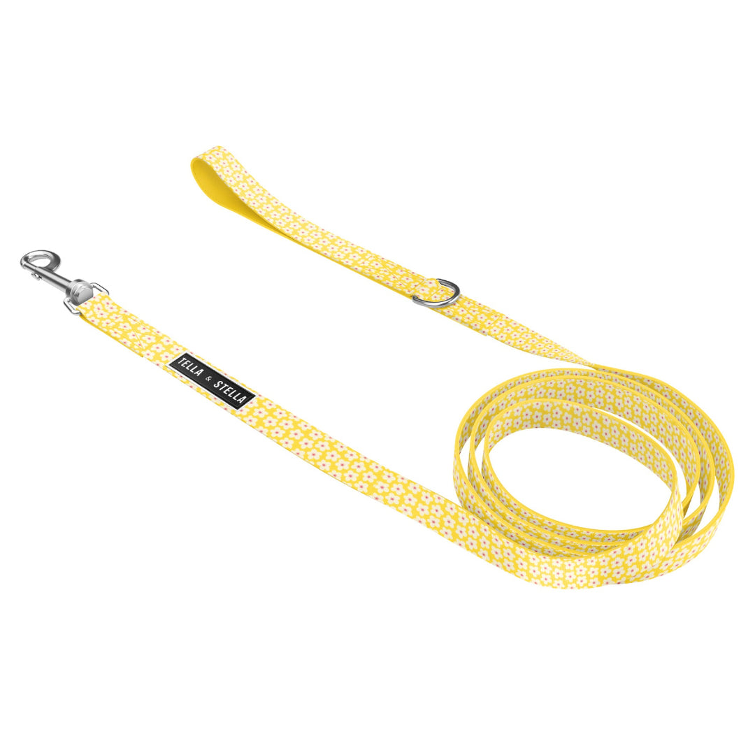 Tella & Stella Leash - Florence