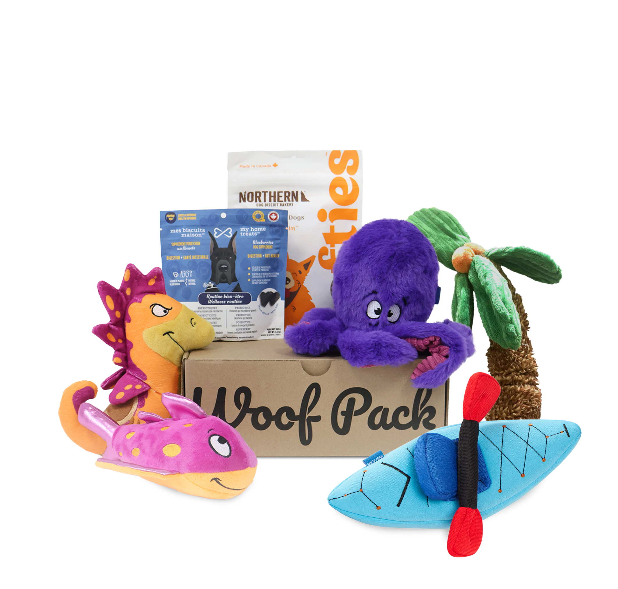 Woof Pack Dog Toys & Treats Box