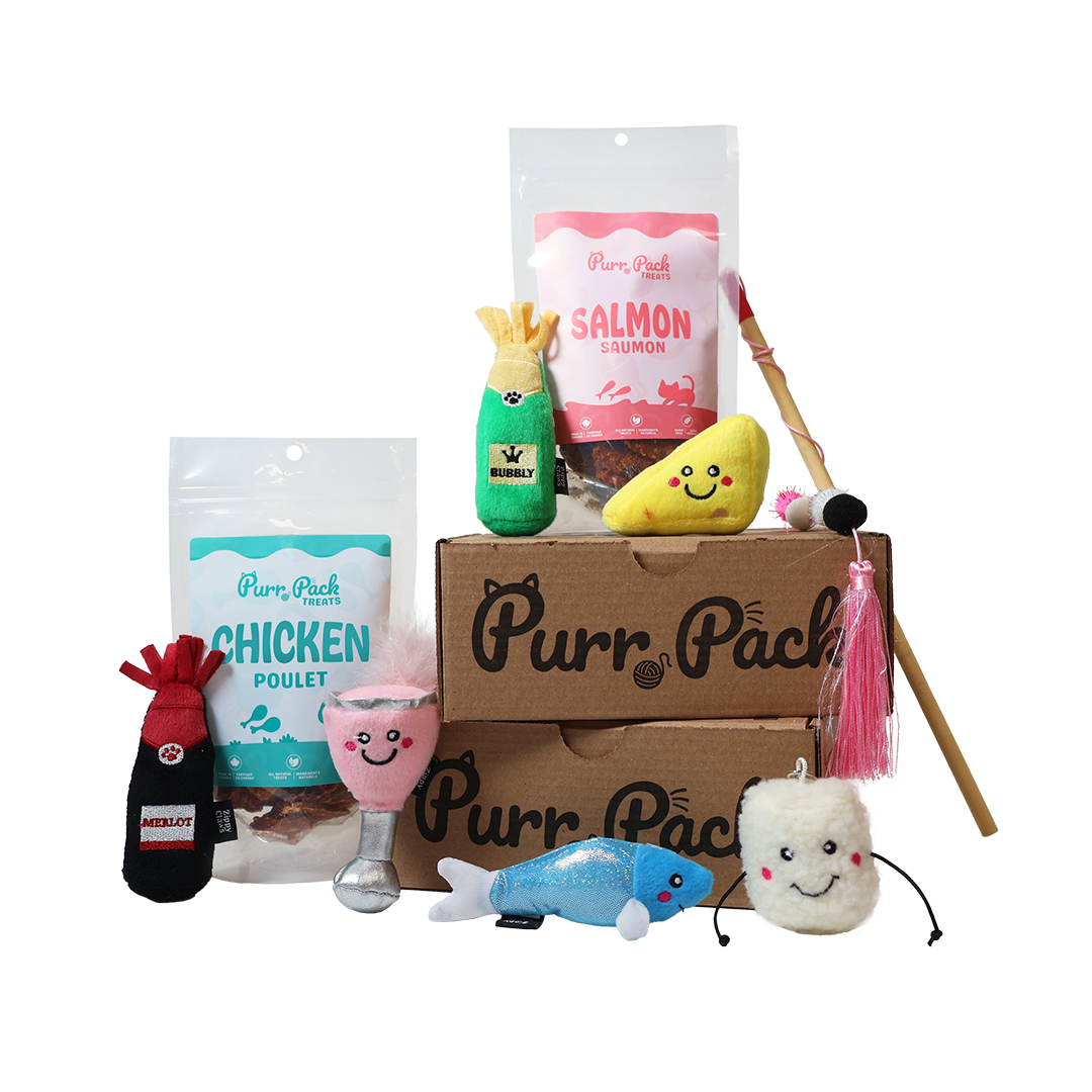 Purr Pack Cat Box