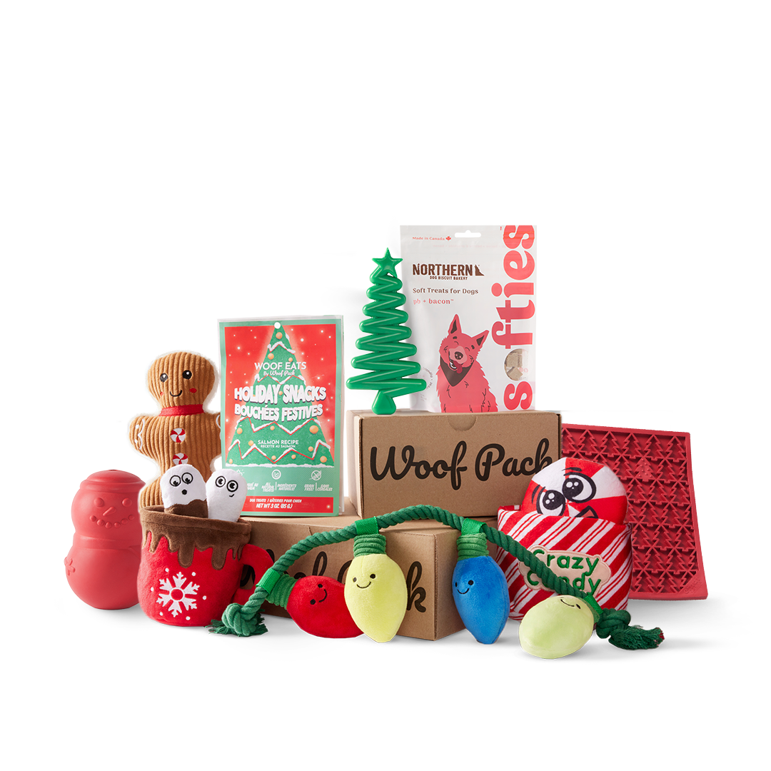 Woof Pack Combo Holiday Box – Plush & Durable Toy Mix + 2 Treats