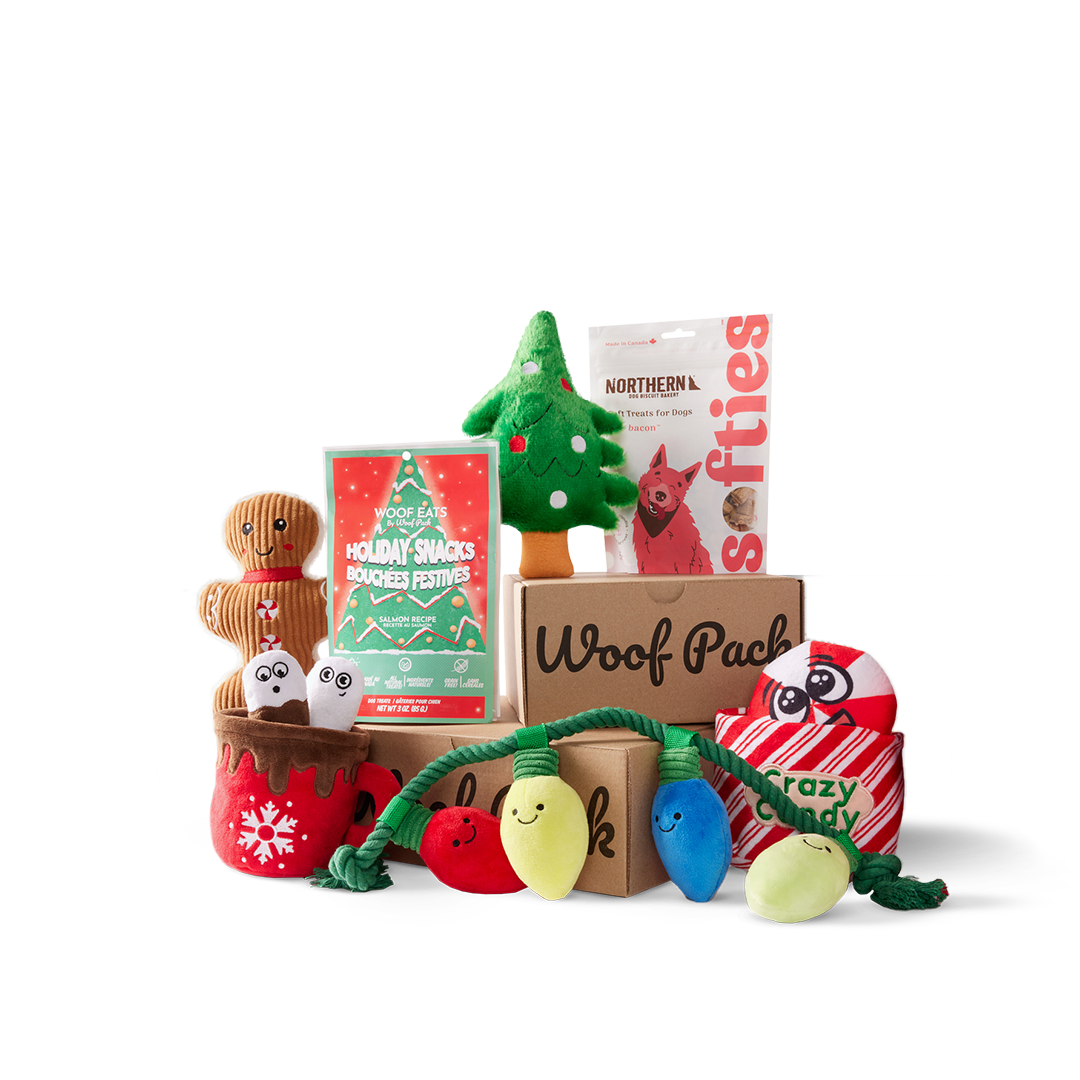 Woof Pack Holiday Box – 6 Toys & 2 Natural Treats