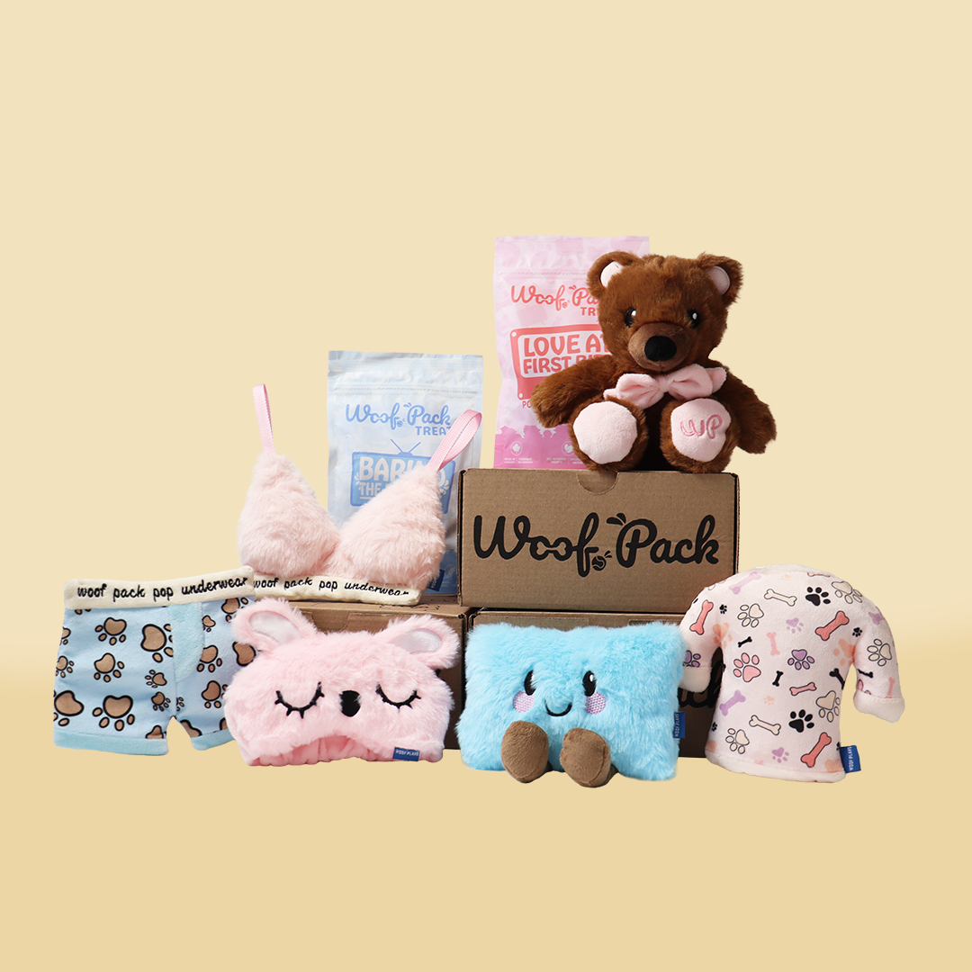 Woof Pack x Pop Underwear Box – 6 Toys & 2 Natural Treats