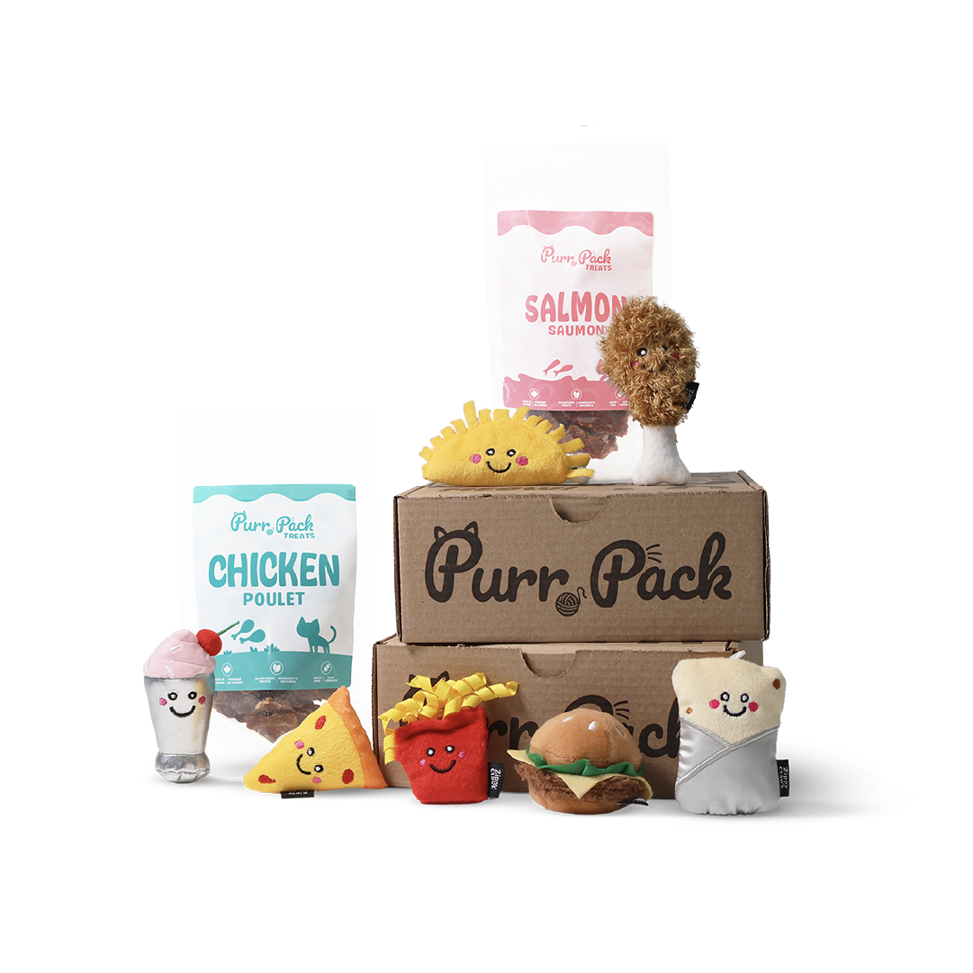 Purr Pack Cat Box