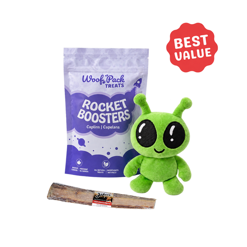 Bundle