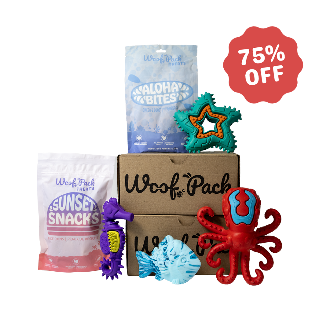 12 Month Subscription: Chewer 75% Off 1st Box