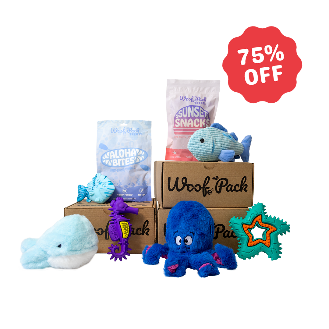 6 Month Subscription: Combo 75% Off 1st Box