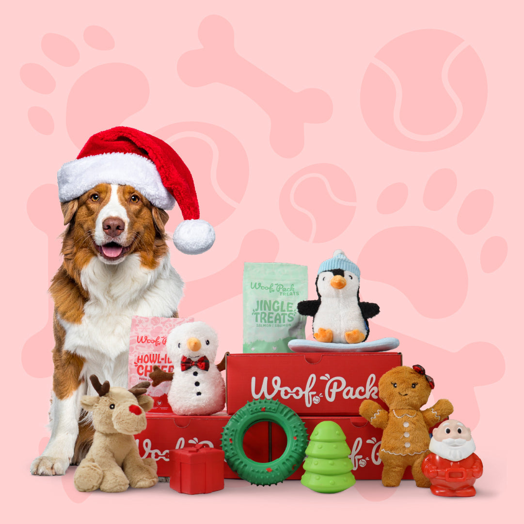 Abonnement Woof Pack: Combo