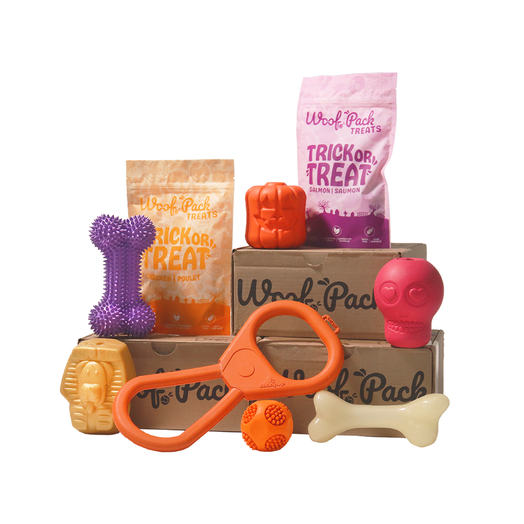 Abonnement 12 mois Chewer: Boîte Halloween Gratuite