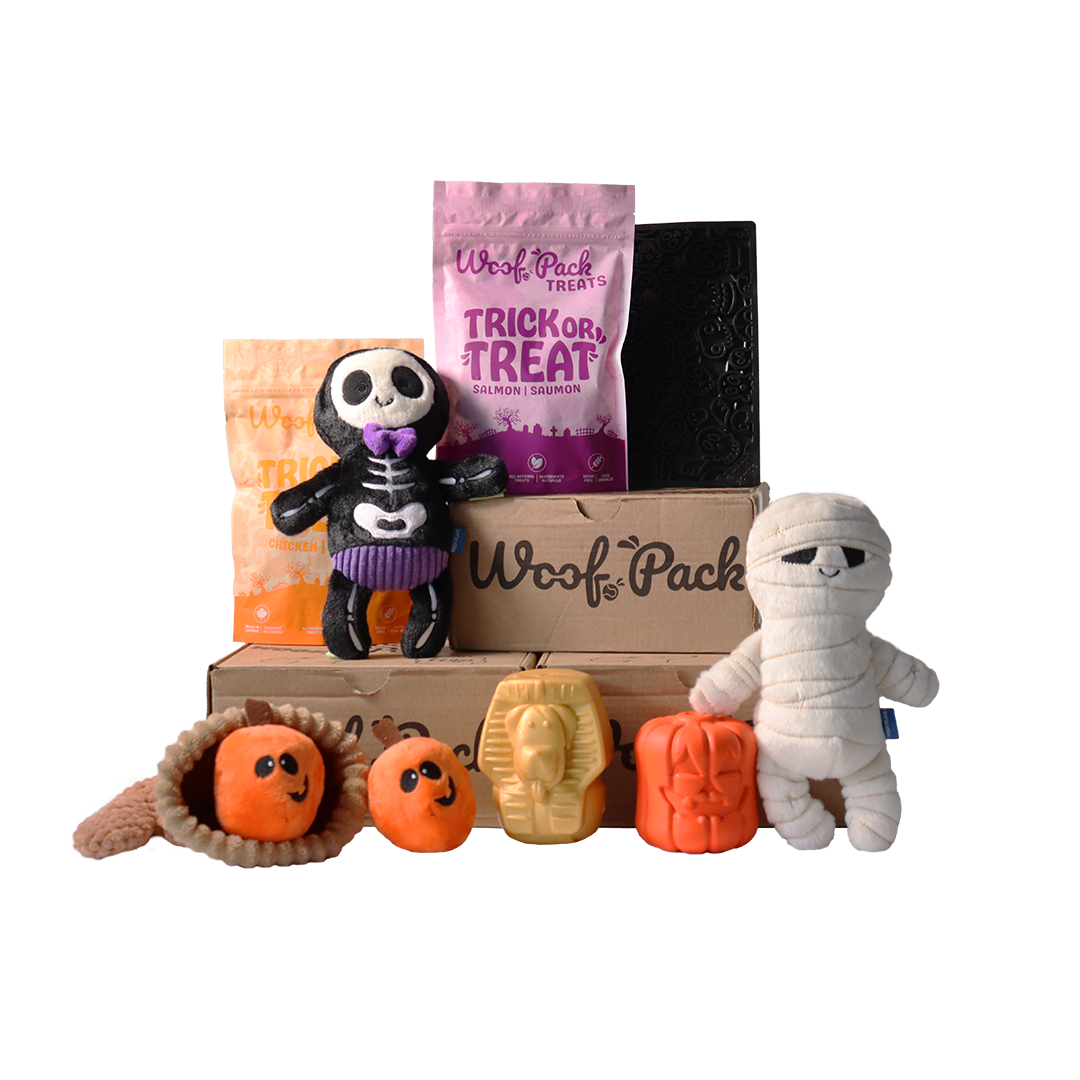 Abonnement 12 mois Combo: Boîte Halloween Gratuite