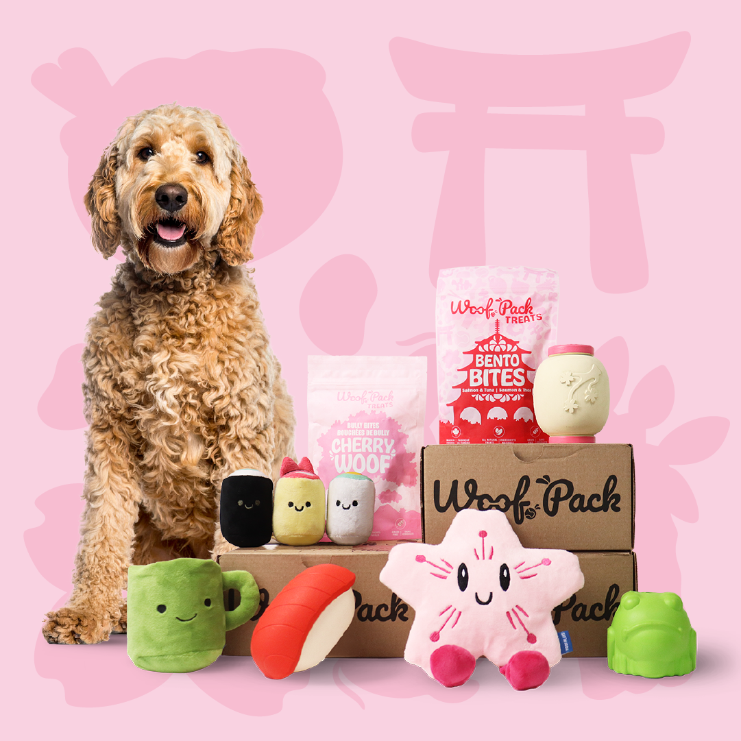 Boîte d'essai Woof Pack
