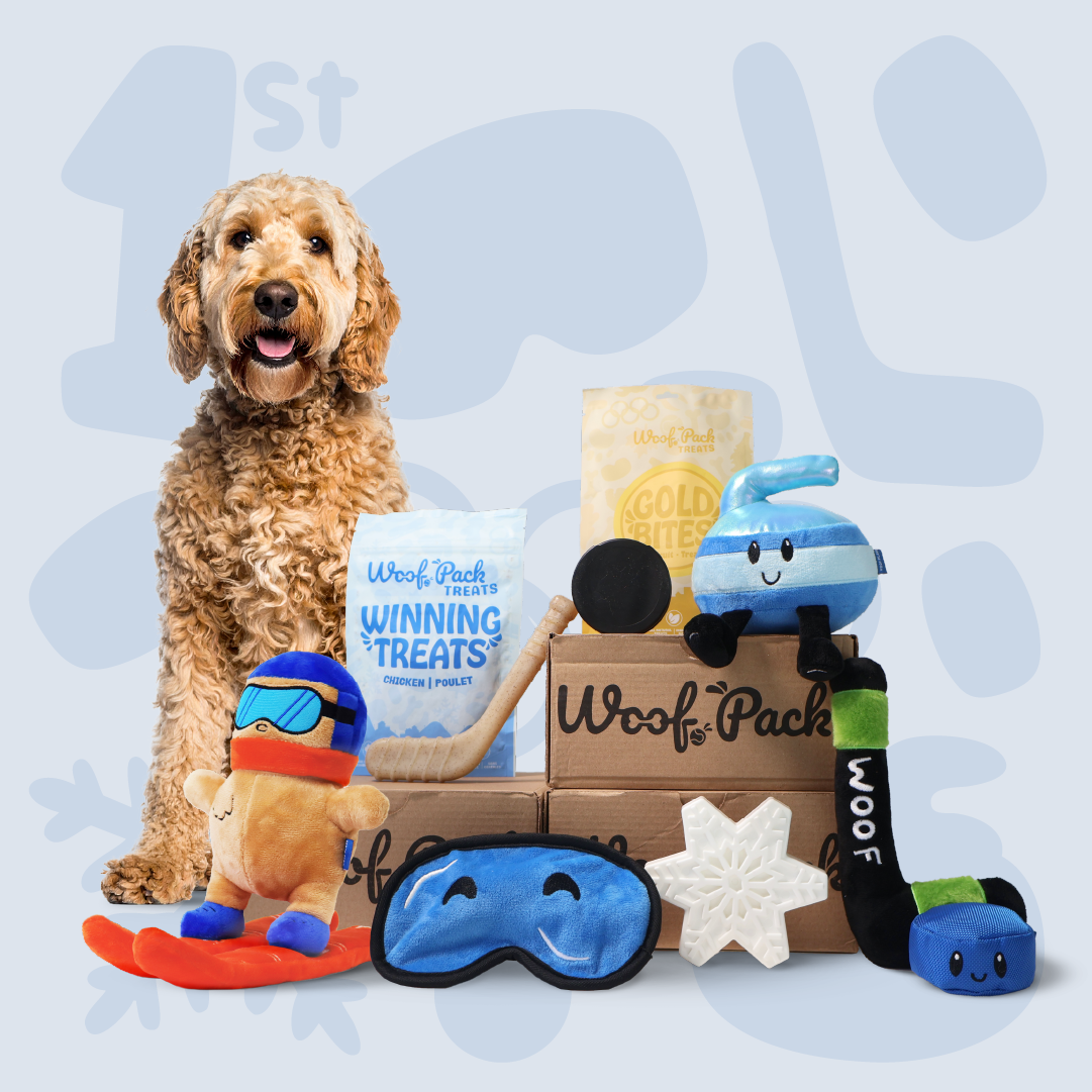 Abonnement Woof Pack : Chewer 