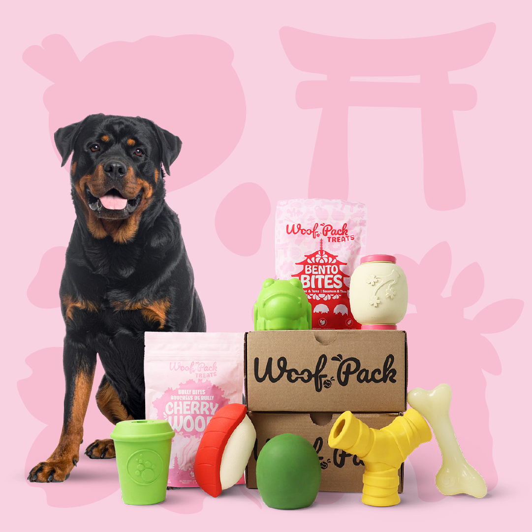 Boîte d'essai Woof Pack