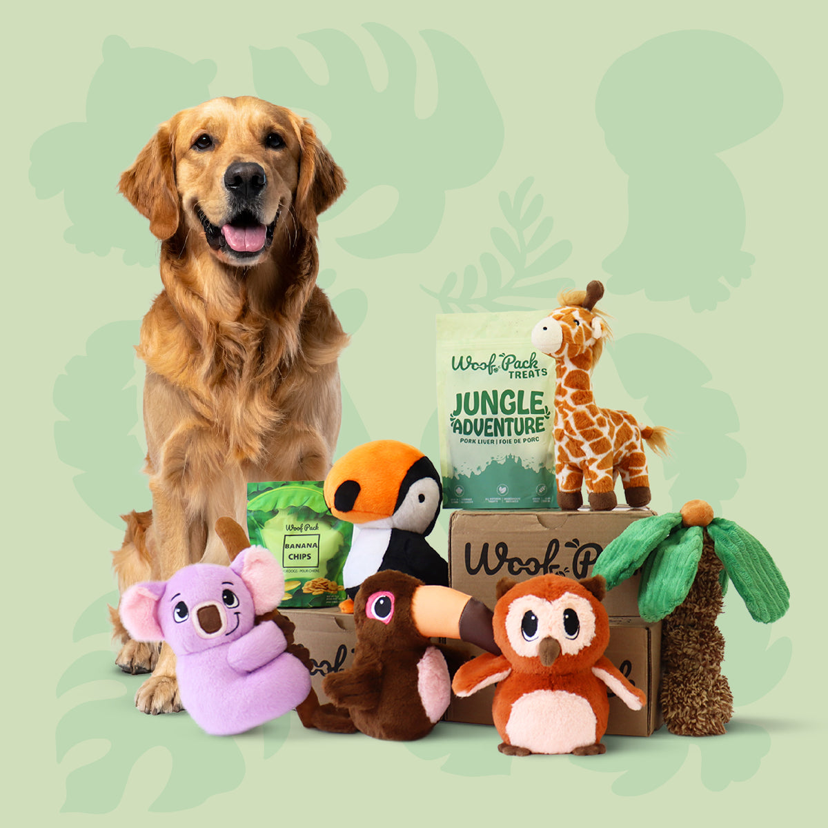 Woof Pack Gift Box