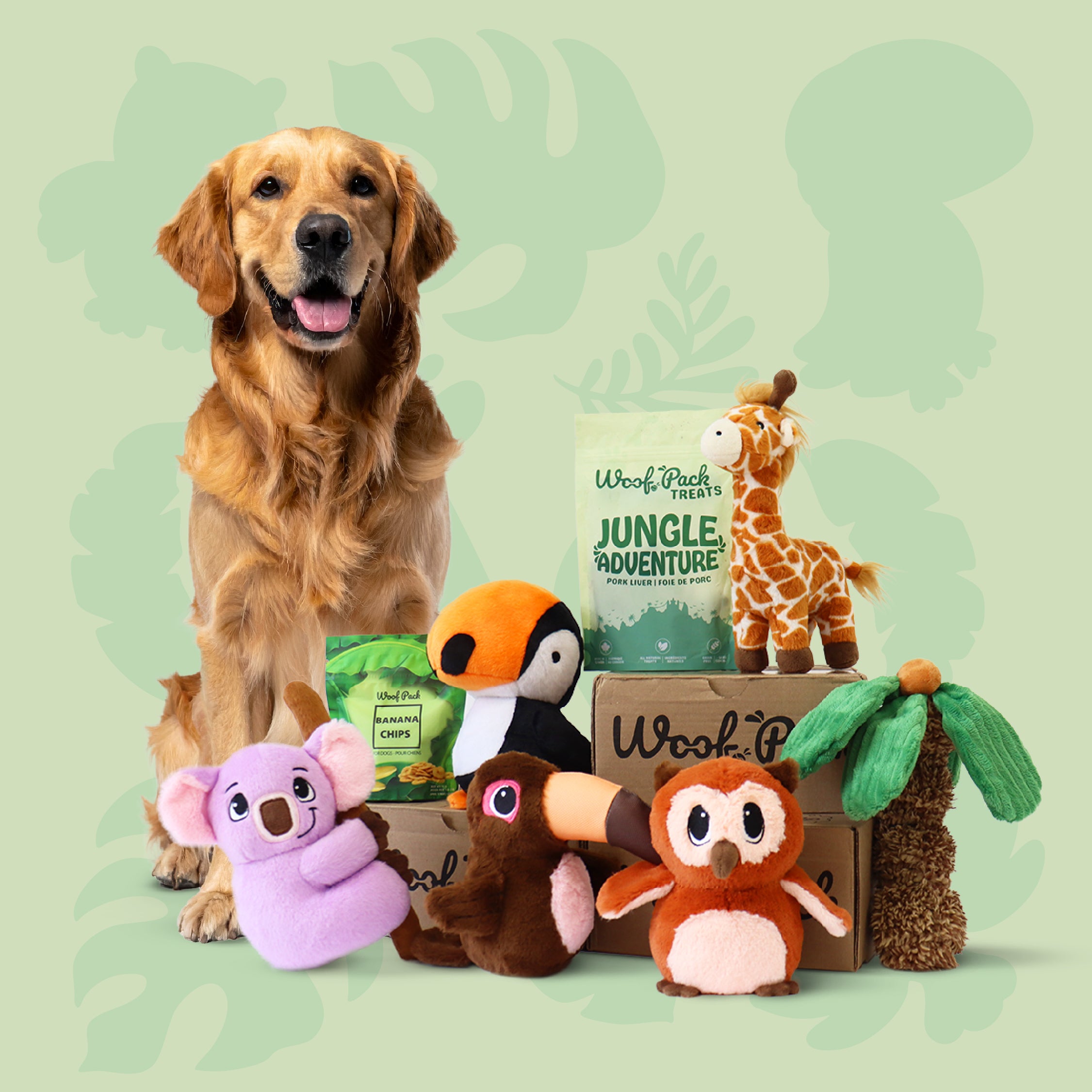 Woof Pack Boîte Essai