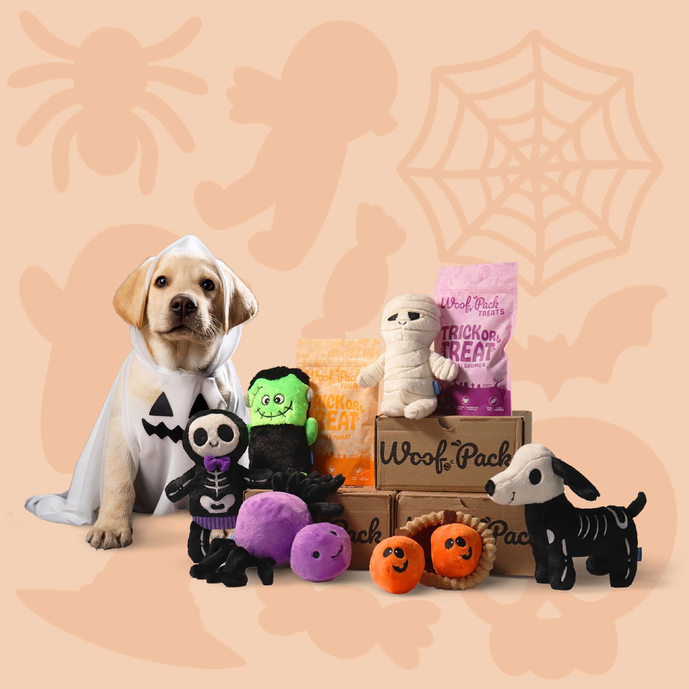 Abonnement Woof Pack: Chiot