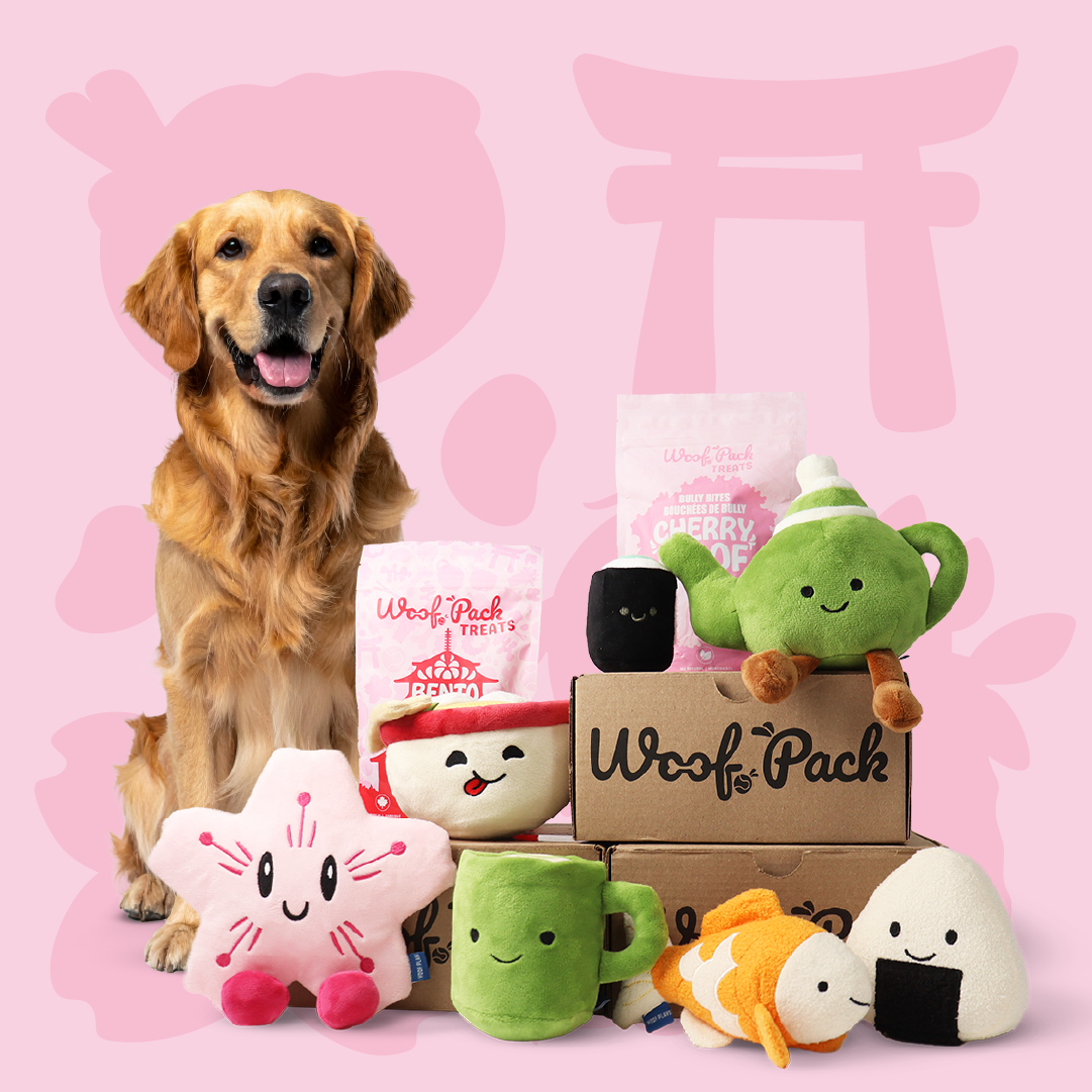 Boîte d'essai Woof Pack