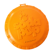 Additional Durable Toy 6 Months