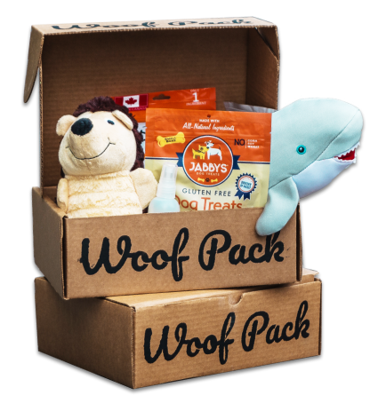 12 Month Subscription: Chewer Double 1st Box