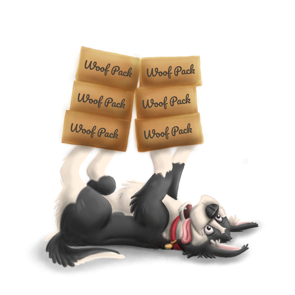 6 Month Subscription: Puppy 1st Box $2